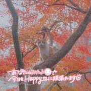 ヒメ日記 2025/11/08 16:25 投稿 ひろか 待ちナビ