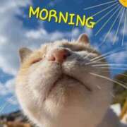 ヒメ日記 2025/12/01 10:13 投稿 ひろか 待ちナビ