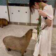 ヒメ日記 2025/06/02 12:36 投稿 あすか アラカルト