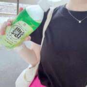 ヒメ日記 2025/06/22 14:50 投稿 あすか アラカルト