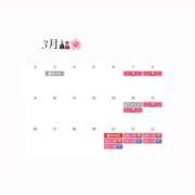 ヒメ日記 2026/02/24 08:29 投稿 あすか アラカルト