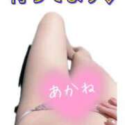 ヒメ日記 2025/02/06 13:46 投稿 あかね Derieezu(デリーズ)