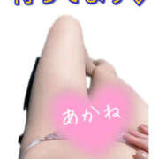 ヒメ日記 2025/06/10 14:50 投稿 あかね Derieezu(デリーズ)