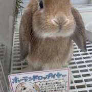 ヒメ日記 2025/01/11 01:10 投稿 橘あみり プルデリR40