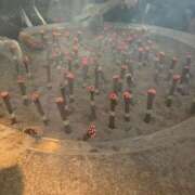 ヒメ日記 2025/02/02 21:52 投稿 橘あみり プルデリR40