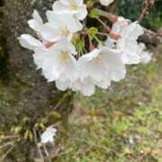 ヒメ日記 2025/04/02 00:59 投稿 橘あみり プルデリR40