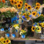 ヒメ日記 2025/06/15 19:05 投稿 橘あみり プルデリR40