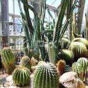 ヒメ日記 2025/06/25 00:56 投稿 橘あみり プルデリR40