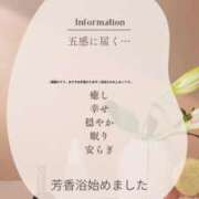 ヒメ日記 2024/11/09 15:16 投稿 青木日向子 五十路マダムエクスプレス船橋店(カサブランカグループ)