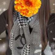 ヒメ日記 2024/12/10 12:20 投稿 青木日向子 五十路マダムエクスプレス船橋店(カサブランカグループ)