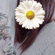 ヒメ日記 2024/12/11 03:48 投稿 青木日向子 五十路マダムエクスプレス船橋店(カサブランカグループ)