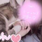 ヒメ日記 2024/12/11 21:04 投稿 青木日向子 五十路マダムエクスプレス船橋店(カサブランカグループ)