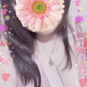 ヒメ日記 2024/12/12 20:08 投稿 青木日向子 五十路マダムエクスプレス船橋店(カサブランカグループ)