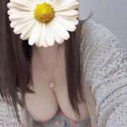 ヒメ日記 2024/12/17 12:44 投稿 青木日向子 五十路マダムエクスプレス船橋店(カサブランカグループ)