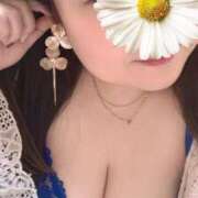 ヒメ日記 2024/12/28 10:06 投稿 青木日向子 五十路マダムエクスプレス船橋店(カサブランカグループ)