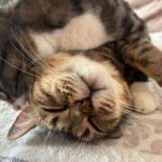 ヒメ日記 2025/01/05 02:24 投稿 青木日向子 五十路マダムエクスプレス船橋店(カサブランカグループ)