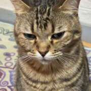 ヒメ日記 2025/01/09 10:42 投稿 青木日向子 五十路マダムエクスプレス船橋店(カサブランカグループ)