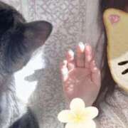 ヒメ日記 2025/01/13 11:14 投稿 青木日向子 五十路マダムエクスプレス船橋店(カサブランカグループ)