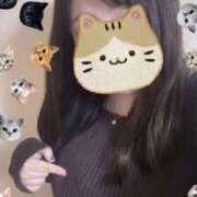 ヒメ日記 2025/01/26 23:52 投稿 青木日向子 五十路マダムエクスプレス船橋店(カサブランカグループ)