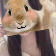 ヒメ日記 2025/01/28 01:24 投稿 青木日向子 五十路マダムエクスプレス船橋店(カサブランカグループ)