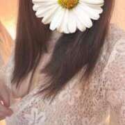 ヒメ日記 2025/03/15 12:06 投稿 青木日向子 五十路マダムエクスプレス船橋店(カサブランカグループ)