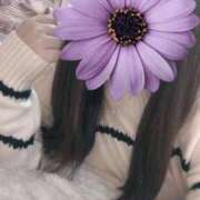 ヒメ日記 2025/04/12 11:16 投稿 青木日向子 五十路マダムエクスプレス船橋店(カサブランカグループ)