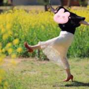 ヒメ日記 2025/04/19 19:42 投稿 青木日向子 五十路マダムエクスプレス船橋店(カサブランカグループ)