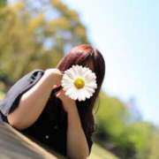 ヒメ日記 2025/04/20 12:34 投稿 青木日向子 五十路マダムエクスプレス船橋店(カサブランカグループ)