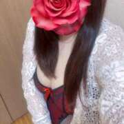 ヒメ日記 2025/04/23 21:38 投稿 青木日向子 五十路マダムエクスプレス船橋店(カサブランカグループ)