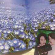 ヒメ日記 2025/04/27 01:28 投稿 青木日向子 五十路マダムエクスプレス船橋店(カサブランカグループ)