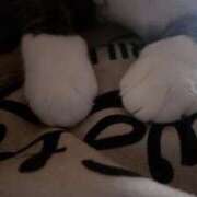 ヒメ日記 2025/04/27 09:42 投稿 青木日向子 五十路マダムエクスプレス船橋店(カサブランカグループ)