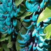 ヒメ日記 2025/04/29 20:30 投稿 青木日向子 五十路マダムエクスプレス船橋店(カサブランカグループ)