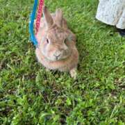 ヒメ日記 2025/05/05 23:22 投稿 青木日向子 五十路マダムエクスプレス船橋店(カサブランカグループ)