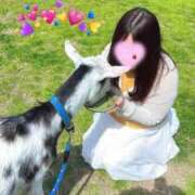 ヒメ日記 2025/05/08 09:42 投稿 青木日向子 五十路マダムエクスプレス船橋店(カサブランカグループ)