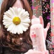 ヒメ日記 2025/05/18 12:46 投稿 青木日向子 五十路マダムエクスプレス船橋店(カサブランカグループ)