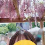 ヒメ日記 2025/05/21 09:48 投稿 青木日向子 五十路マダムエクスプレス船橋店(カサブランカグループ)