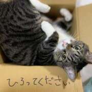 ヒメ日記 2025/06/01 23:58 投稿 青木日向子 五十路マダムエクスプレス船橋店(カサブランカグループ)