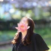 ヒメ日記 2025/06/07 12:42 投稿 青木日向子 五十路マダムエクスプレス船橋店(カサブランカグループ)