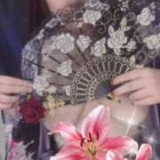 ヒメ日記 2025/06/09 02:52 投稿 青木日向子 五十路マダムエクスプレス船橋店(カサブランカグループ)