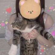 ヒメ日記 2025/06/15 03:22 投稿 青木日向子 五十路マダムエクスプレス船橋店(カサブランカグループ)