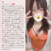 ヒメ日記 2025/06/19 03:40 投稿 青木日向子 五十路マダムエクスプレス船橋店(カサブランカグループ)