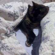 ヒメ日記 2025/06/25 15:08 投稿 青木日向子 五十路マダムエクスプレス船橋店(カサブランカグループ)