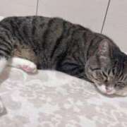 ヒメ日記 2025/06/27 04:18 投稿 青木日向子 五十路マダムエクスプレス船橋店(カサブランカグループ)