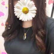 ヒメ日記 2025/06/29 17:20 投稿 青木日向子 五十路マダムエクスプレス船橋店(カサブランカグループ)