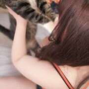 ヒメ日記 2025/07/04 08:42 投稿 青木日向子 五十路マダムエクスプレス船橋店(カサブランカグループ)