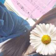 ヒメ日記 2025/07/05 15:50 投稿 青木日向子 五十路マダムエクスプレス船橋店(カサブランカグループ)