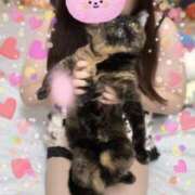 ヒメ日記 2025/07/16 17:34 投稿 青木日向子 五十路マダムエクスプレス船橋店(カサブランカグループ)