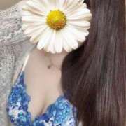 ヒメ日記 2025/07/21 01:12 投稿 青木日向子 五十路マダムエクスプレス船橋店(カサブランカグループ)