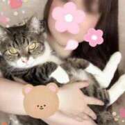 ヒメ日記 2025/07/28 13:10 投稿 青木日向子 五十路マダムエクスプレス船橋店(カサブランカグループ)