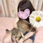 ヒメ日記 2025/07/31 11:22 投稿 青木日向子 五十路マダムエクスプレス船橋店(カサブランカグループ)